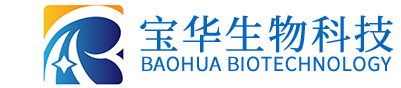 欧冠网站